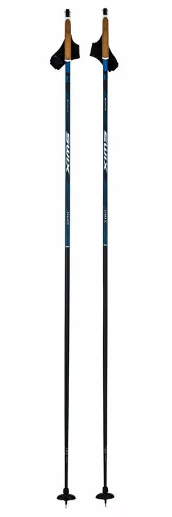 Bâton Fond Swix Dynamic D2