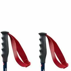 Swix Pôles World Cup Pro Super-G -Magasin Swix pas cher swix poles world cup pro super g 4